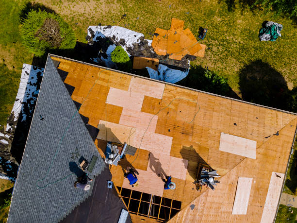 Best Roof Repair Services  in Lovington, IL