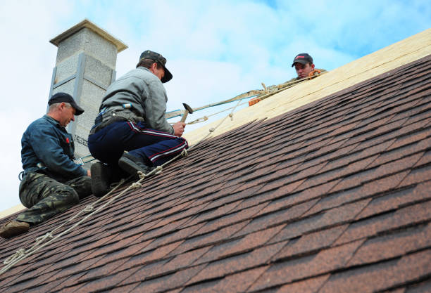 Best Metal Roofing Contractor  in Lovington, IL