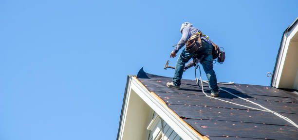 Roof Gutter Cleaning in Lovington, IL