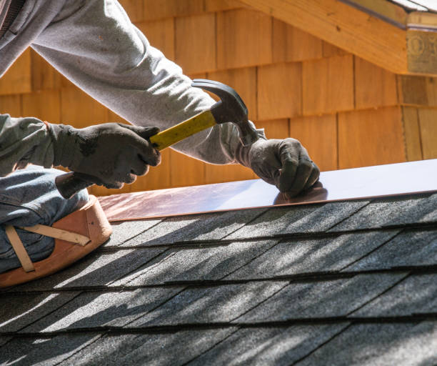 Best Roof Gutter Cleaning  in Lovington, IL